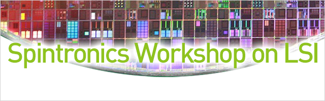 Spintronics Workshop on LSI